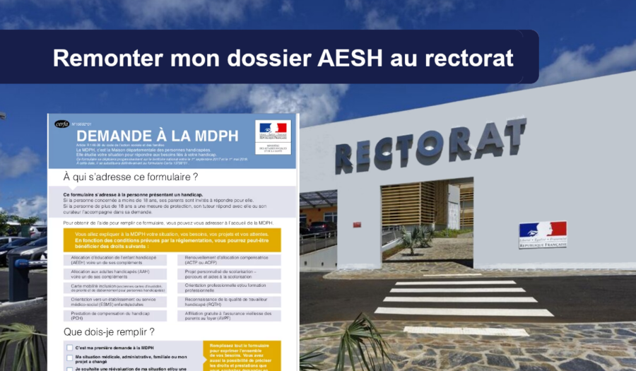 dossier aesh au rectorat