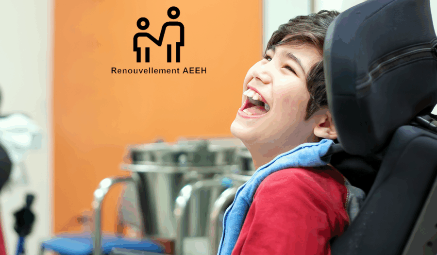 enfant en situation de handicap aeeh